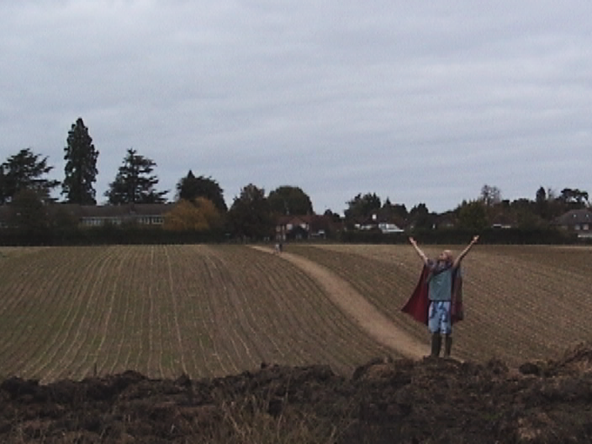 The Ice Lolly King still