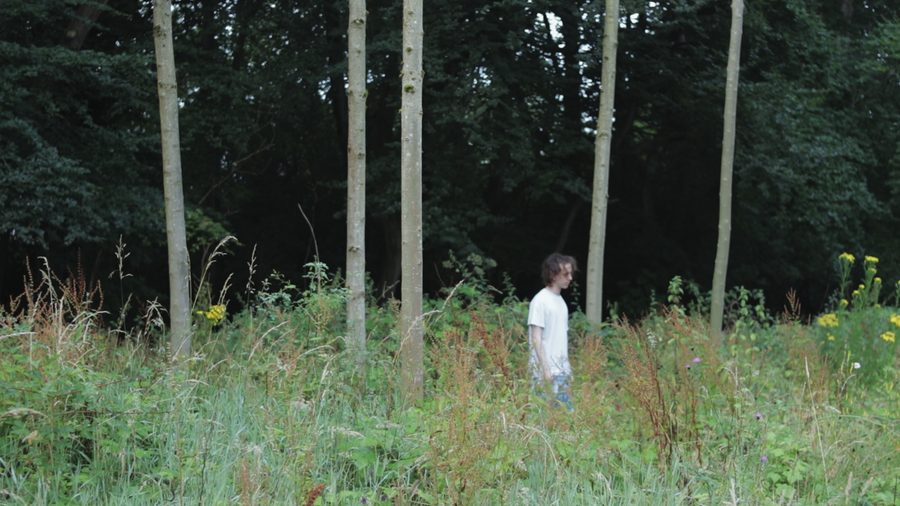 A small figure stands in long grass among thin birch trees