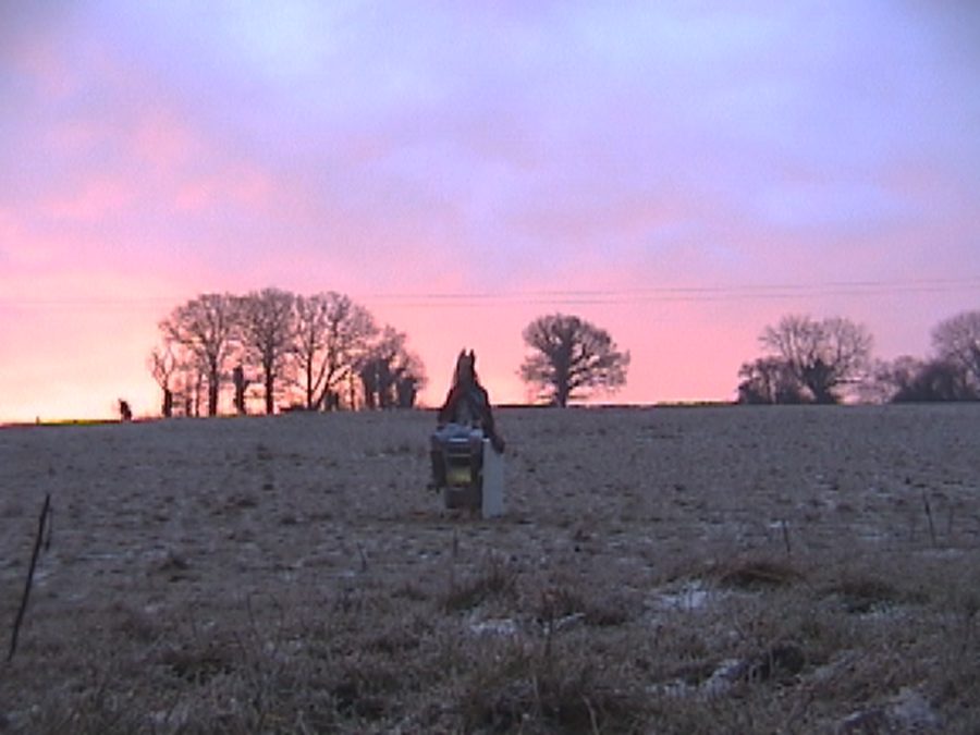 A lone figure in a frosted field beneath a pink dawn sky