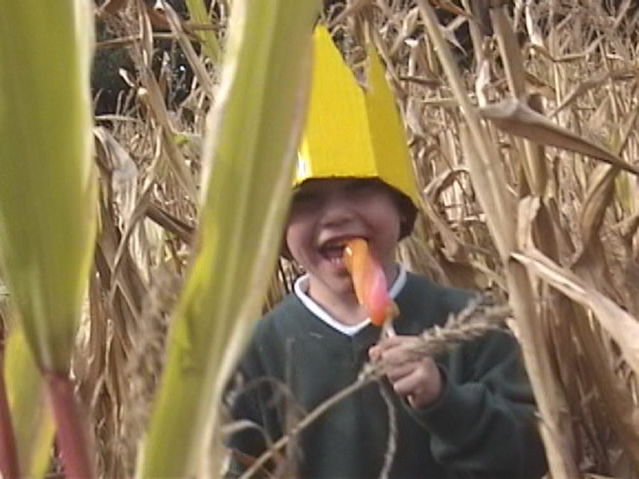A child in a paper crown eats an ice lolly among dry corn stalks
